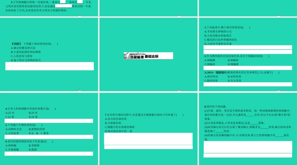 八年级生物下册 6.2.1 遗传(第1课时)课件 (新版)冀教版 课件