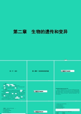八年级生物下册 6.2.1 遗传(第1课时)课件 (新版)冀教版 课件