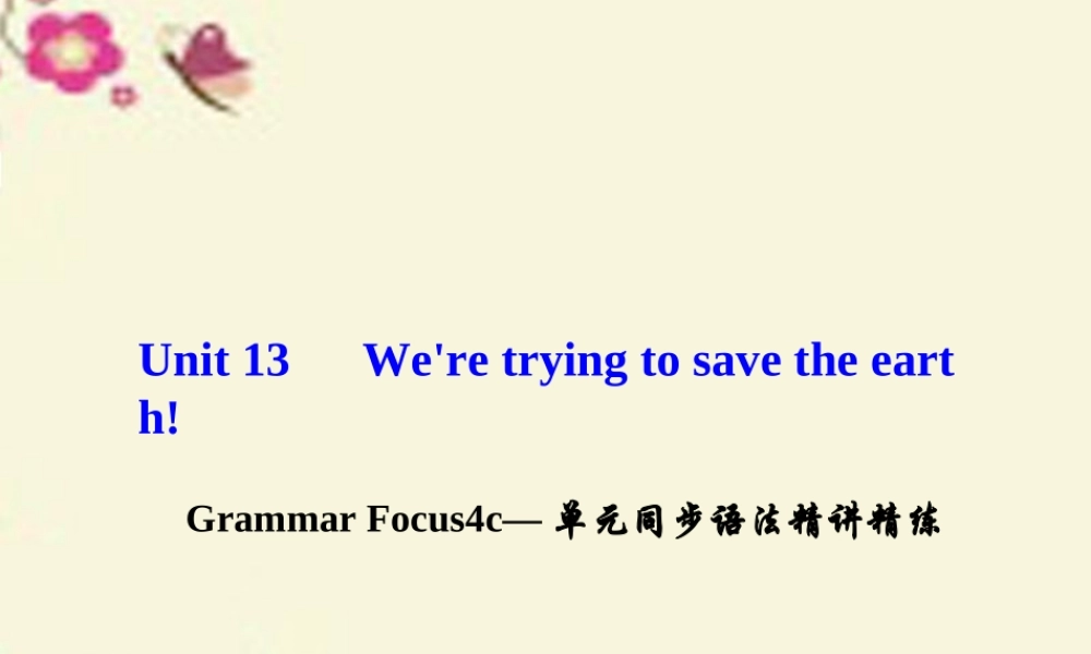九年级英语全册 Unit 13 We're trying to save the earth Grammar Focus 4c单元同步语法精讲精练课件 (新版)人教新目标版 课件