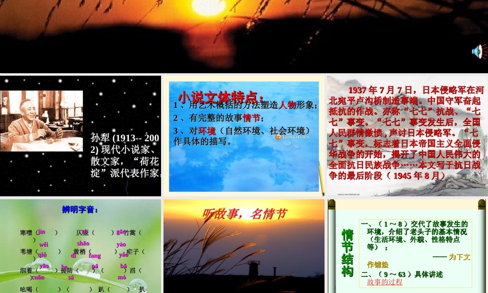 八年级语文(芦花荡)课件  课件