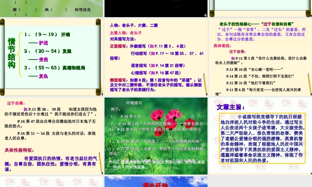 八年级语文(芦花荡)课件  课件