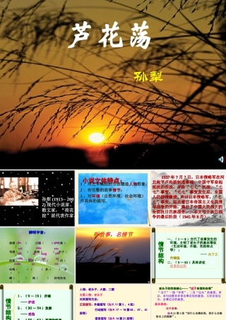 八年级语文(芦花荡)课件  课件