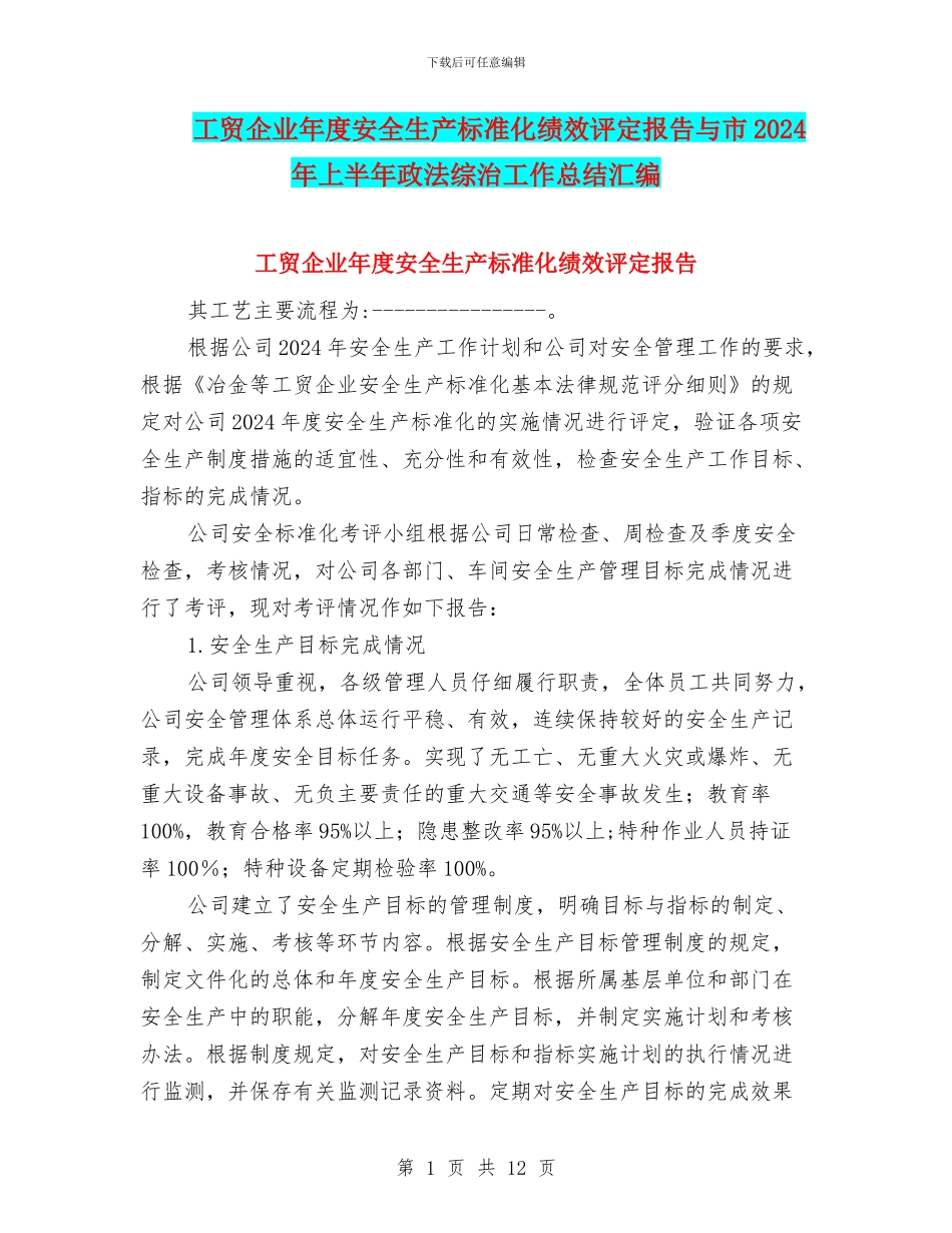 工贸企业年度安全生产标准化绩效评定报告与市2024年上半年政法综治工作总结汇编_第1页