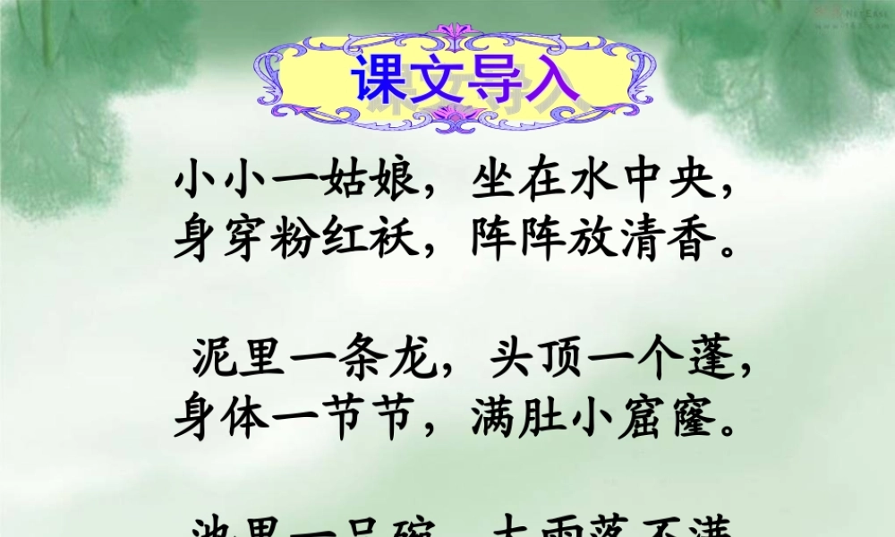 八年级语文上册 第五单元综合性学习(莲文化的魅力)课件 人教新课标版 课件