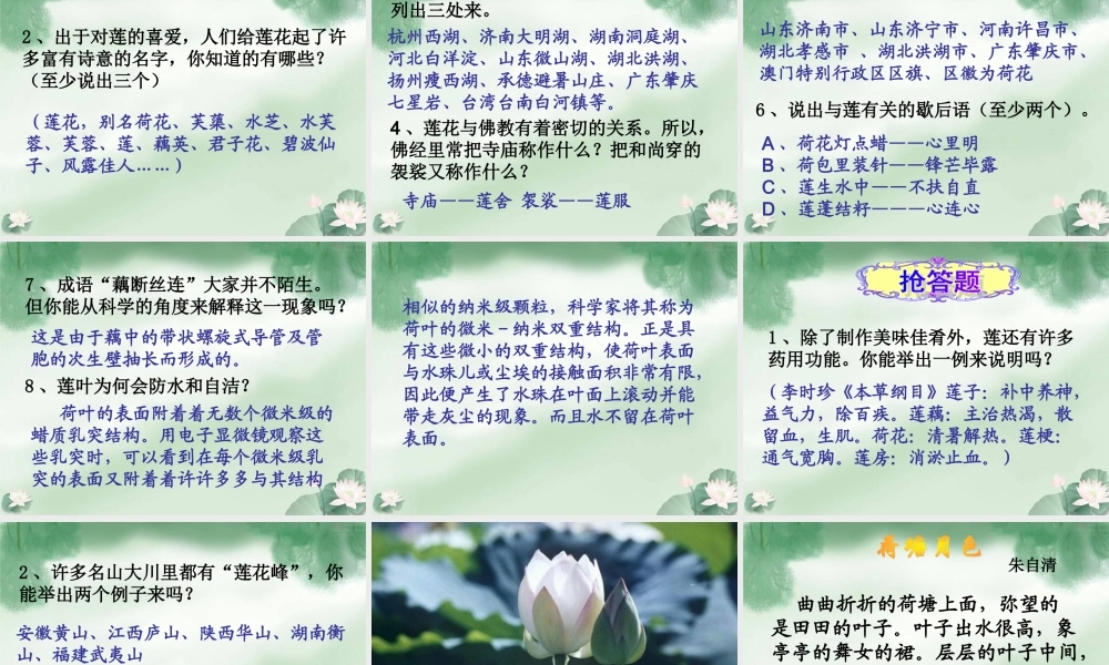 八年级语文上册 第五单元综合性学习(莲文化的魅力)课件 人教新课标版 课件