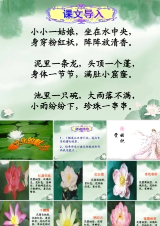 八年级语文上册 第五单元综合性学习(莲文化的魅力)课件 人教新课标版 课件