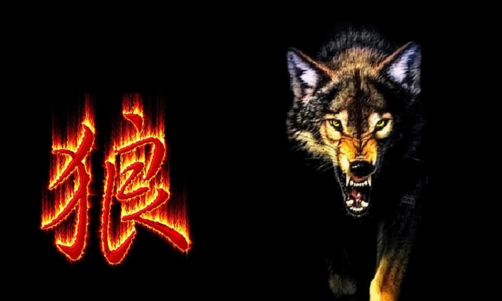 七年级语文下册(狼)课件 人教新课标版 课件