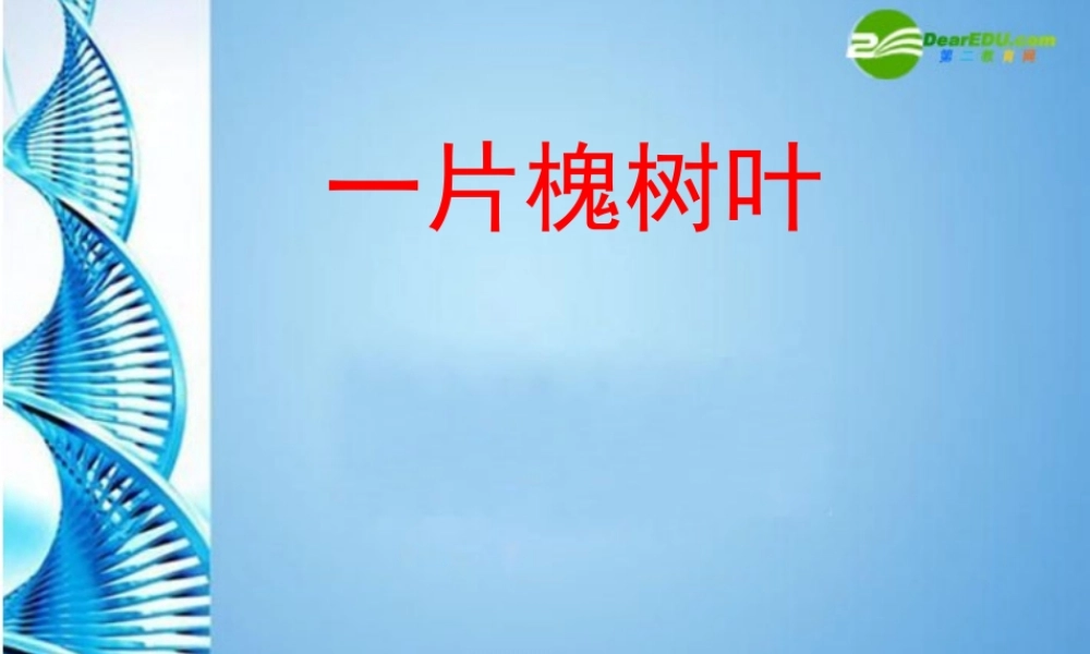 八年级语文下册(一片槐树叶)课件 语文版 课件