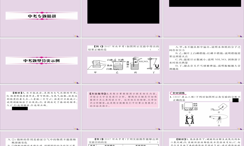 中考化学复习 第二编 重点题型突破篇 专题3 理化选择题(精讲)课件