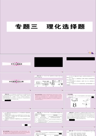 中考化学复习 第二编 重点题型突破篇 专题3 理化选择题(精讲)课件