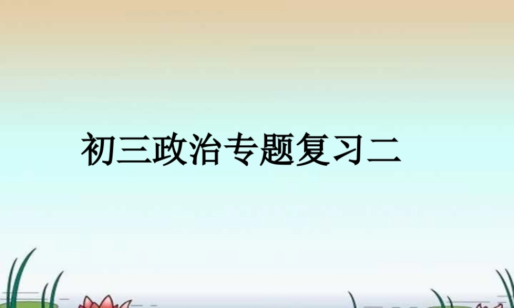 新课标初三政治专题复习二 课件