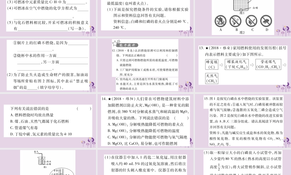 中考化学复习 第一部分 基础知识 第一单元 常见的物质 第4讲 燃料及其利用(精练)课件