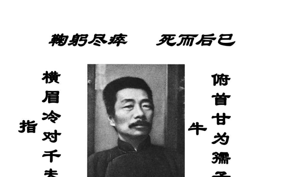 八年级语文下册 课堂教学资料 第25课(有的人)课件 苏教版 课件