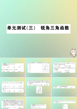 九年级数学下册 第二十八章 锐角三角函数单元测试(三)锐角三角函数习题课件 (新版)新人教版 课件