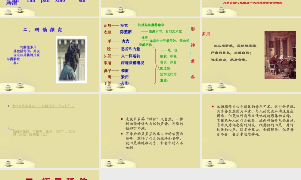 七年级语文下册 贝多芬课件 人教新课标版 课件