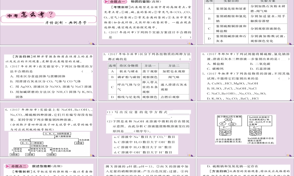 中考化学总复习 第二轮 专题训练 提升能力 专题三 物质的鉴别与推断课件