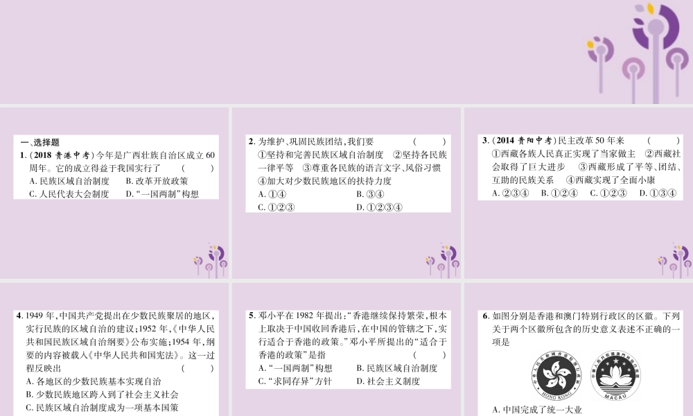 中考历史总复习 第一编 教材知识速查篇 模块二 中国现代史 第12讲 民族团结与祖国统一(精练)课件