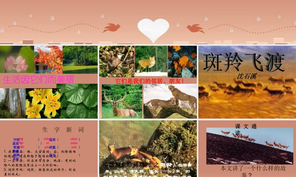 中学七年级语文下册 第27课(斑羚飞渡)课件 新人教版 课件