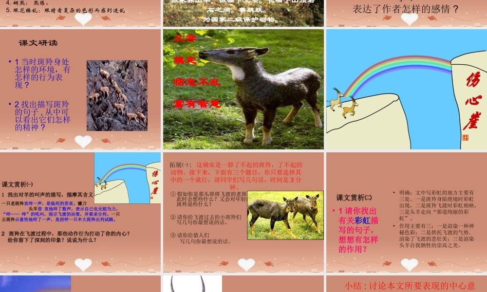 中学七年级语文下册 第27课(斑羚飞渡)课件 新人教版 课件