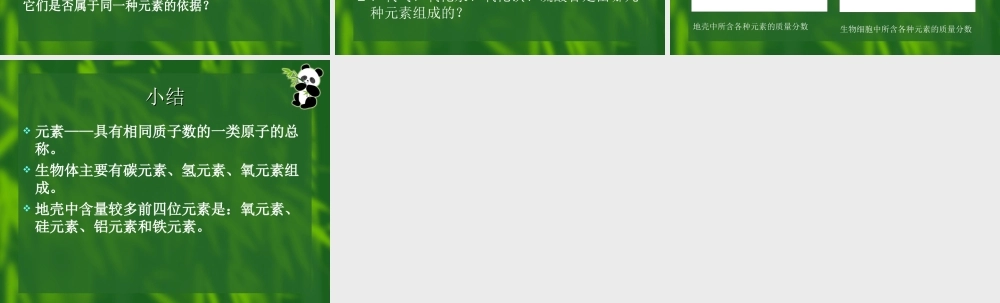 八年级化学上册元素 课件鲁教版 课件