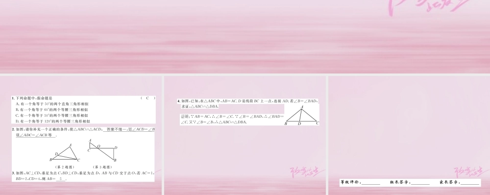 九年级数学上册 341 相似三角形的判定(第2课时)相似三角形的判定定理1练习课件 (新版)湘教版 课件