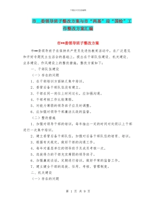 市--委领导班子整改方案与市“两基”迎“国检”工作整改方案汇编
