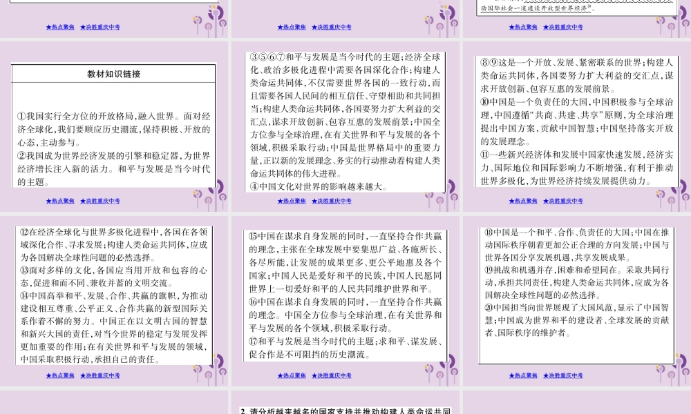 决胜中考道德与法治热点专题复习 专题六 大国外交课件