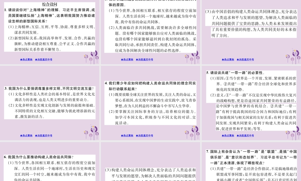 决胜中考道德与法治热点专题复习 专题六 大国外交课件