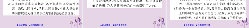 决胜中考道德与法治热点专题复习 专题六 大国外交课件