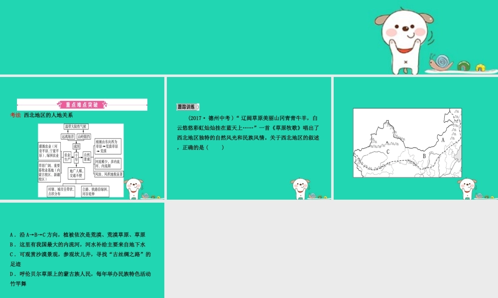 中考地理 七下 第八章 西北地区复习课件