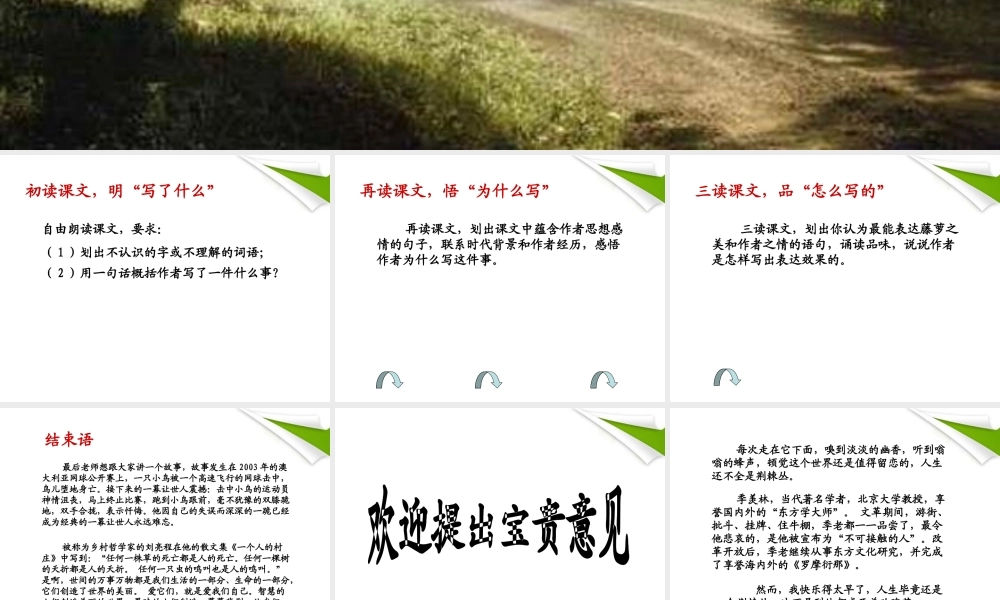 八年级语文上册(幽径悲剧)课件 苏教版 课件