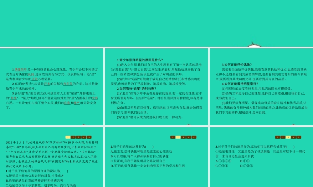 八年级政治上册 第二单元 青春自画像 第4课 青春故事 第3框 不为追星所累课件 人民版 课件