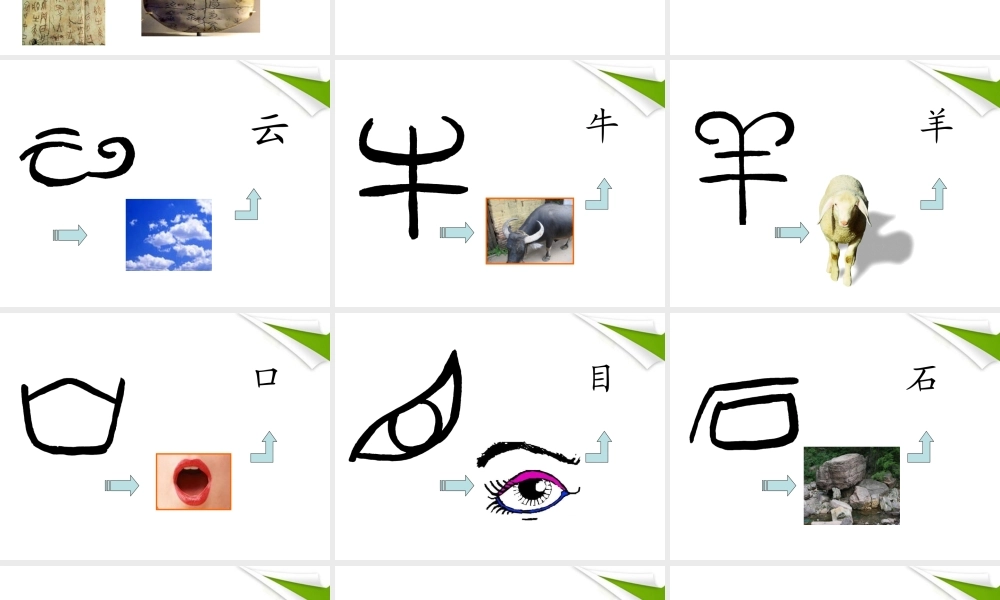 七年级语文上册(有趣的汉字) 教学课件 北师大版 课件