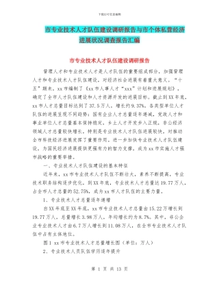 市专业技术人才队伍建设调研报告与市个体私营经济发展状况调查报告汇编