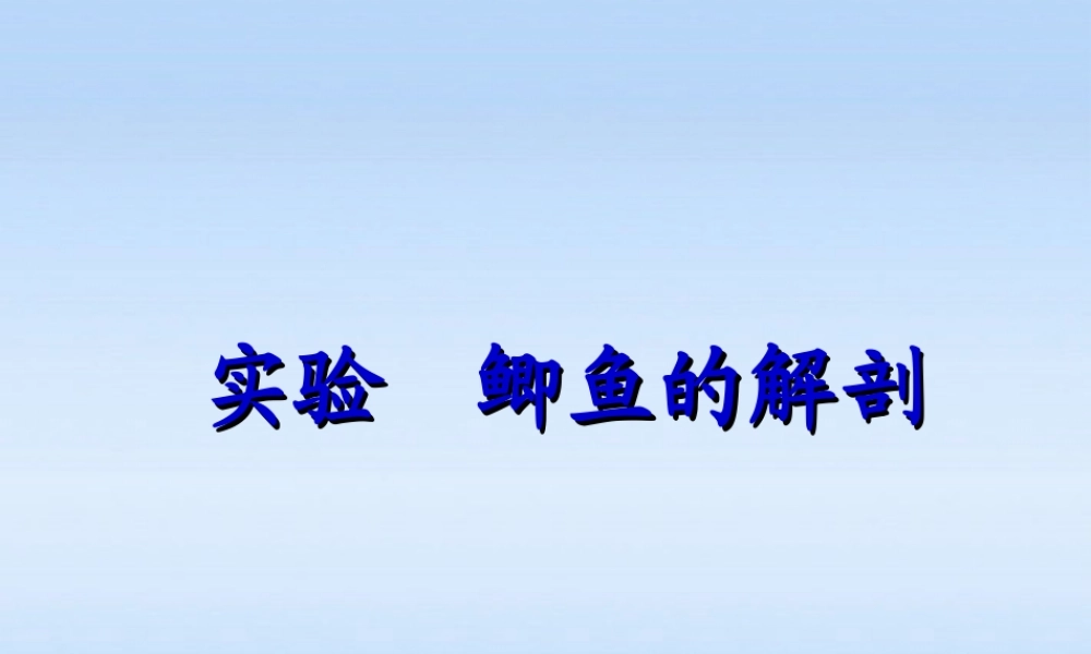 七年级生物下册 鲫鱼与水中生活相适应的结构特点课件 苏科版 课件