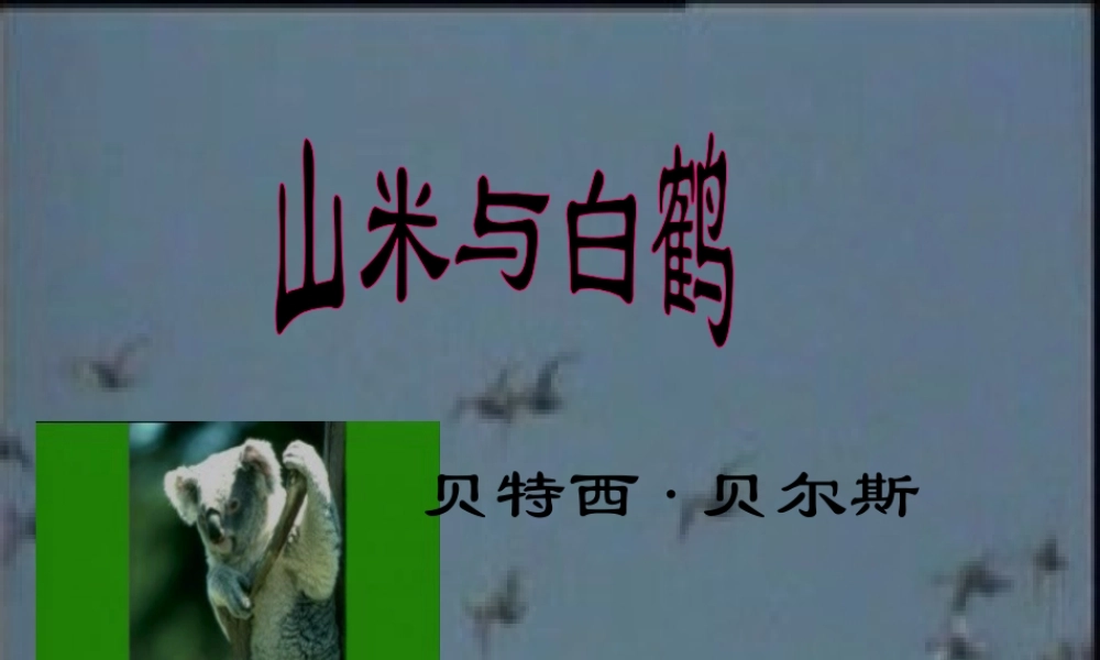 八年级语文上册 第16课(山米与白鹤)课件 语文版 课件