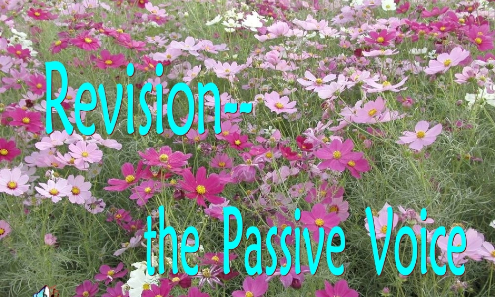 九年级英语复习课件The Passive Voice 人教新目标版 课件