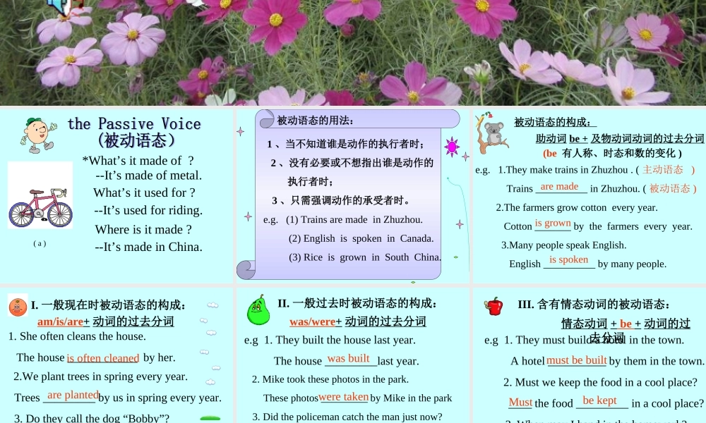 九年级英语复习课件The Passive Voice 人教新目标版 课件