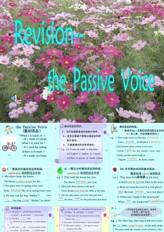 九年级英语复习课件The Passive Voice 人教新目标版 课件
