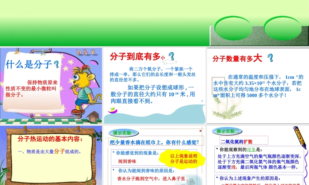 初三物理复习课件 分子热运动 人教版 课件