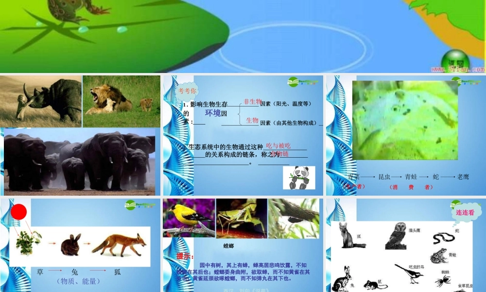 八年级生物下册 第六单元第一章第二节食物链和食物网——食物网课件 济南版 课件