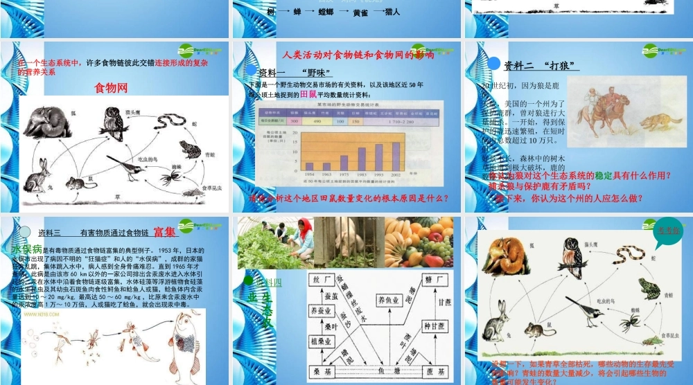 八年级生物下册 第六单元第一章第二节食物链和食物网——食物网课件 济南版 课件