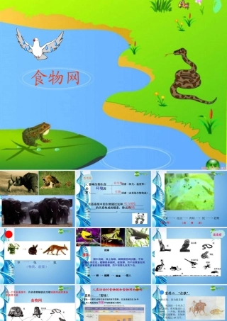 八年级生物下册 第六单元第一章第二节食物链和食物网——食物网课件 济南版 课件
