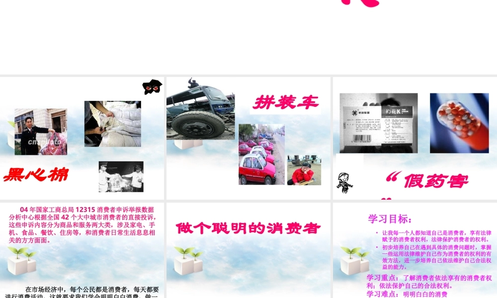 八年级政治(做个聪明的消费者)课件 人教新课标版 课件