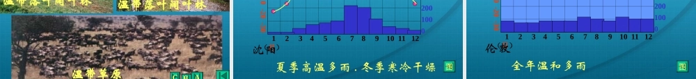 八年级物理上册 第二章第二节 世界气候类型课件 中图版 课件