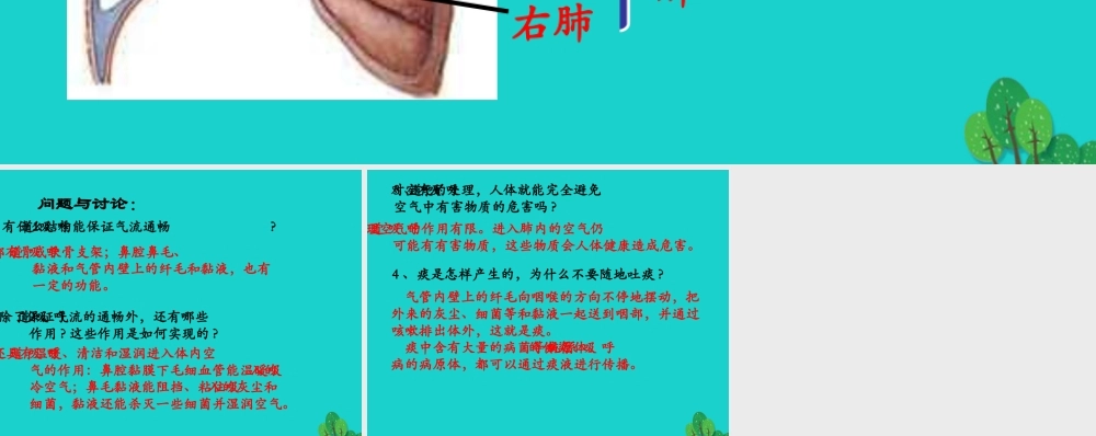 七年级生物下册 第三单元 第二章 第一节 人体与外界的气体交换 呼吸系统的组成示意图课件 (新版)济南版 课件