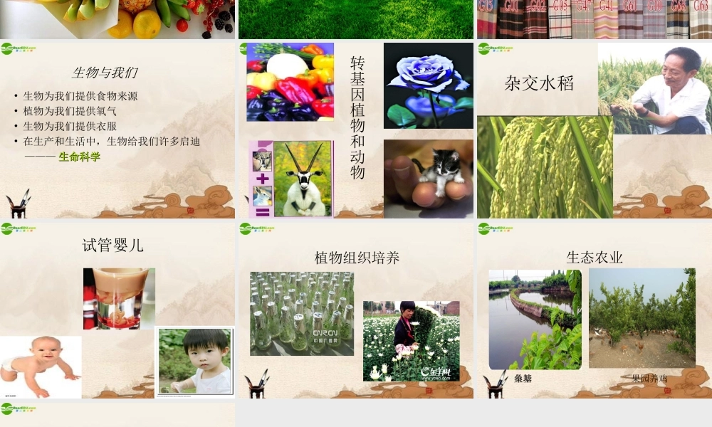 七年级生物上册 走进生命科学课件 苏教版 课件