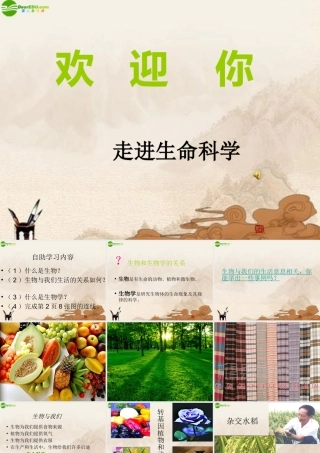 七年级生物上册 走进生命科学课件 苏教版 课件