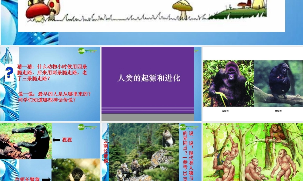 八年级生物下册 人类的起源和进化课件 苏科版 课件