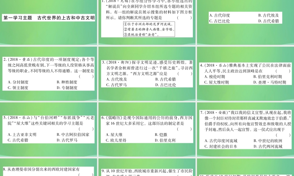 中考历史复习 第一篇 教材系统复习 4 世界古、近代史 第一学习主题 古代世界的上古和中古文明习题课件